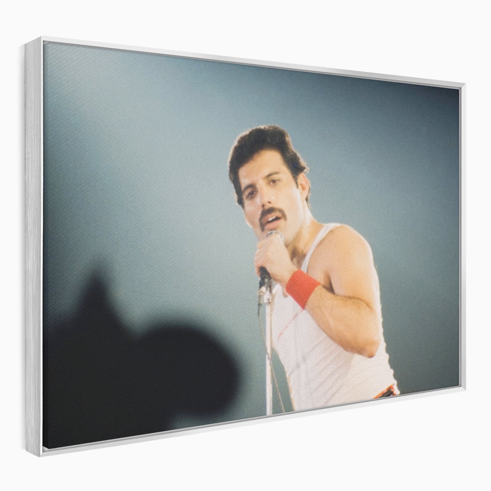 Tablou canvas cu tablou canvas cu freddie mercury, in rama de aluminiu argintiu